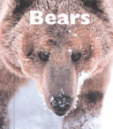Bears cover