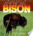 American Bison cover