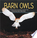 Barn Owls cover