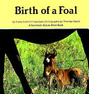 Birth of a Foal cover