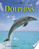 Dolphins cover