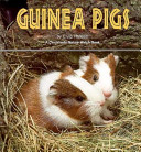 Guinea Pigs cover