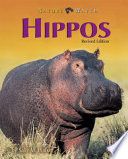 Hippos cover
