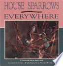 House Sparrows Everywhere cover