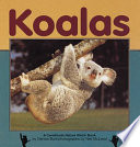 Koalas cover