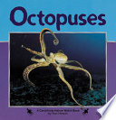 Octopuses cover