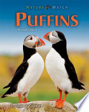Puffins cover