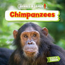 Chimpanzees cover