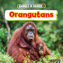 Orangutans cover
