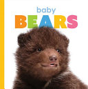 Baby Bears cover