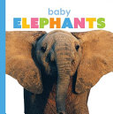Baby Elephants cover