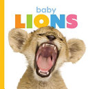 Baby Lions cover