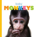 Baby Monkeys cover
