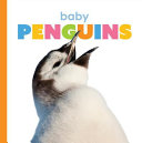 Baby Penguins cover