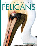 Pelicans cover