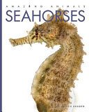 Seahorses cover
