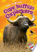 Cape Buffalo and Oxpeckers cover