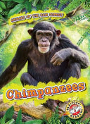 Chimpanzees cover