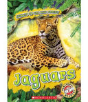 Jaguars cover