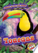 Toucans cover