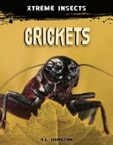 Crickets cover