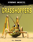 Grasshoppers cover