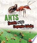 Ants: Secrets of Their Cooperative Colonies (Capstone Press) cover