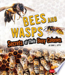 Bees and Wasps: Secrets of Their Busy Colonies cover