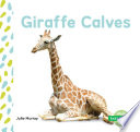 Giraffe Calves cover