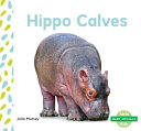 Hippo Calves cover