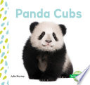 Panda Cubs cover