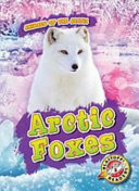 Arctic Foxes cover