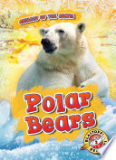 Polar Bears cover
