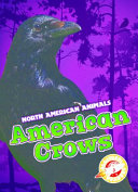 American Crows cover