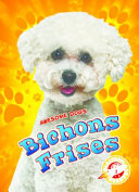 Bichons Frises cover
