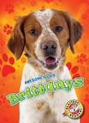 Brittanys cover