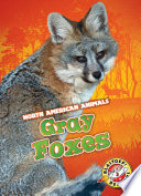 Gray Foxes cover