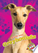 Greyhounds cover