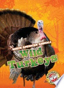 Wild Turkeys cover