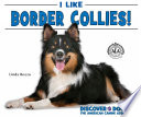 I Like Border Collies! cover