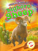 Bighorn Sheep cover