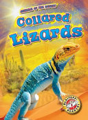 Collared Lizards cover