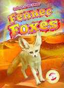 Fennec Foxes cover