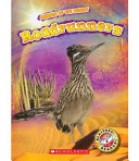 Roadrunners cover