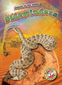 Sidewinders cover