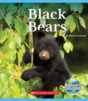 Black Bears cover