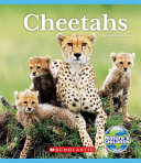 Cheetahs cover