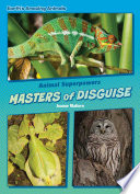 Masters of Disguise cover