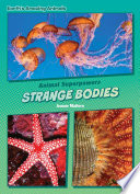 Strange Bodies cover