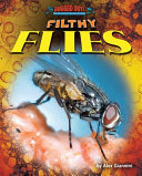 Filthy Flies cover